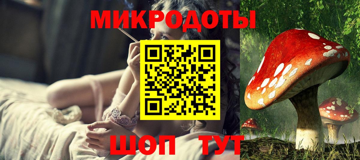 Псилоцибиновые грибы Cubensis Луховицы