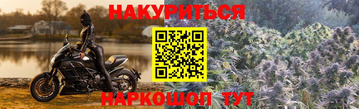 Луховицы  Бошки марихуана ГИДРОПОН  Каннабис Ganja  Конопля конопля  Конопля White Widow  Вход с VPN 